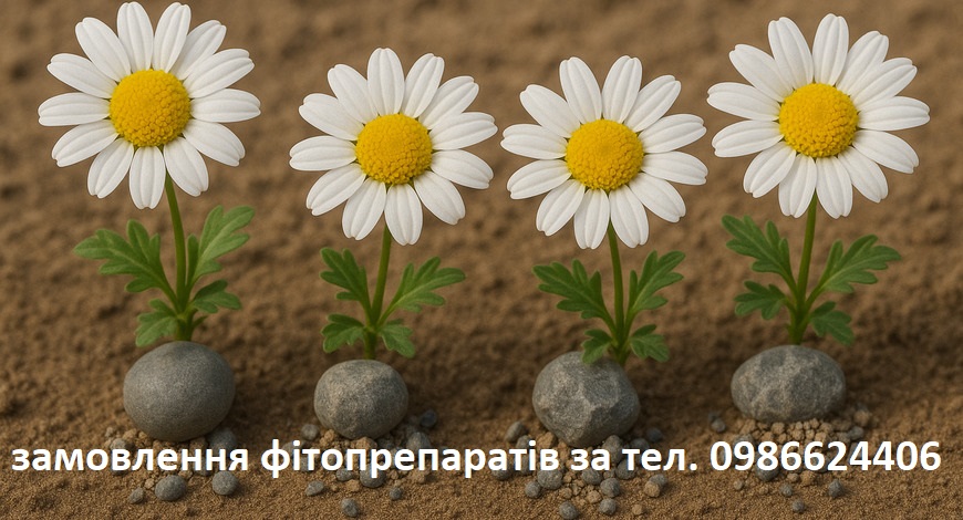 КАМІНЧИКИ, ЯКІ ЗОВСІМ НЕ КОШТОВНІ... ПІСОЧОК, ЯКИЙ ЗОВСІМ НЕ ЗОЛОТИЙ.. НАШІ КРАПЛІ КАМІНЬ ТОЧАТЬ!