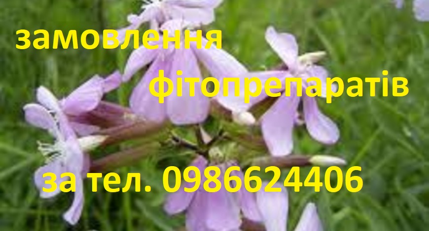 МИЛЬНЯНКА-ЦІЛЮЩА,  ГАРНЮЩА, ЗАПАШНА... 