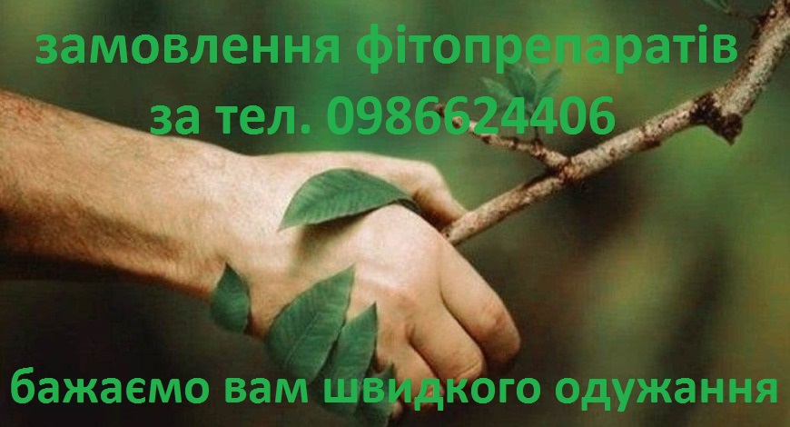 15 червня – Всесвітній день захисту людей похилого віку. «Похилий вік» завжди асоціюється з віковими хворобами.  Природа – найкращий захисник людей! Вже тільки однією своєю природною ошатністю заспокоїть нам нерви, додасть сил і бажання жити.