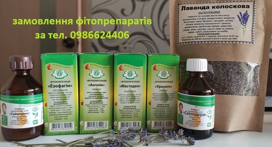 ЛАВАНДА--МАГІЧНА РОСЛИНА! ВВАЖАЛОСЯ, ЩО ВОНА ВИГАНЯЄ З ТІЛА І ЖИТЛА ЗЛИХ ДУХІВ. ВИКОРИСТОВУВАЛИ ЛАВАНДУ ДЛЯ ПРИГОТУВАННЯ ПРИВОРОТНОГО ЗІЛЛЯ І ЕЛІКСИРУ ВІЧНОЇ МОЛОДОСТІ.