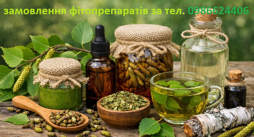 УНІКАЛЬНЕ ДЕРЕВО--БЕРЕЗА! НА ЧІЛЬНОМУ МІСЦІ У ЛЕГЕНДАХ І У ЦІЛЮЩИХ ЗБОРАХ!