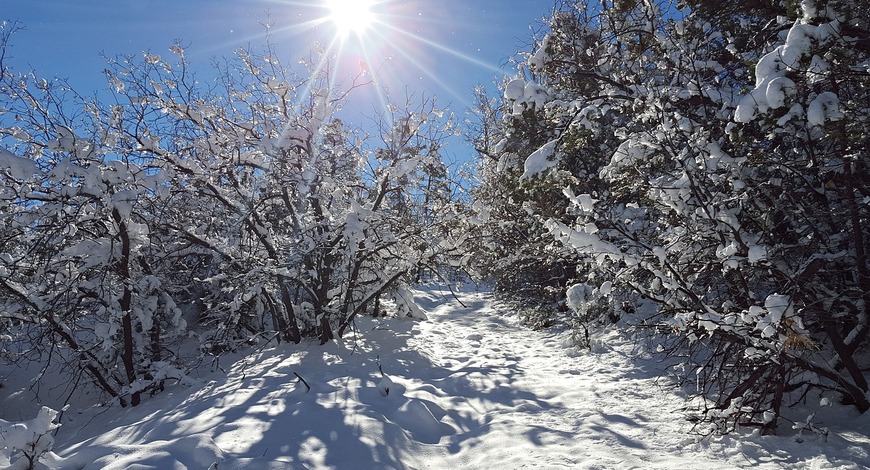 Сніг споглядати приємно, та очі сліпить його білизна. Особливо сонячної днини! Снігова сліпота може спіткати любителів прогулянок у сонце-сніг.