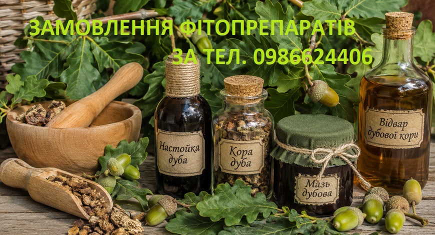 ДУБ--НЕ ЛОЗА, НЕ ГНЕТЬСЯ, ЩЕ Й З ЛЮДСЬКИМИ БОЛЯЧКАМИ Б'ЄТЬСЯ.