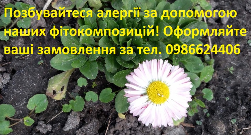 "Дайте шось, шоб ту алєргію вилікувати! Все зацвіло і я запливаю! Дихати нема чим, тіло шкребу, бо чухається усе!.."