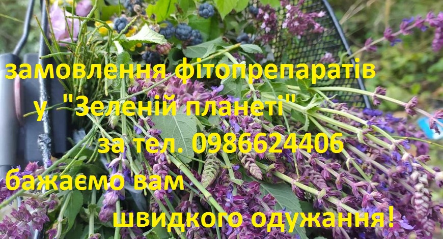 14 листопада- День боротьби проти діабету. У нашій фітоаптеці "Зелена планета"ми боремося з діабетами щодня!