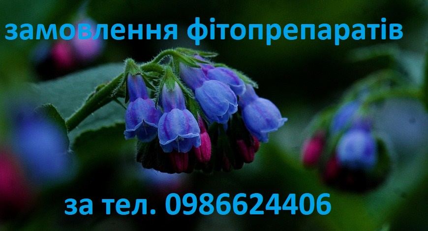 ВВАЖАЮ, ЩО САМЕ ЧАС НЕ ЗАЙВЕ НАГАДАТИ ВАМ ПРО НАШ ЖИВОКІСТ
