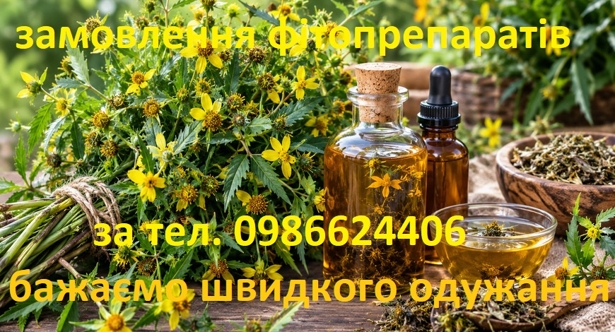 ЧІПКА ЧЕРЕДА--ЗОЛОТО ПРИРОДИ ДЛЯ ВАШОГО ЗДОРОВ'Я!