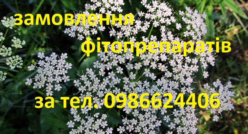 БЕДРИНЕЦЬ, ЛОМИКАМІНЬ, КАМНЕЛОМКА...