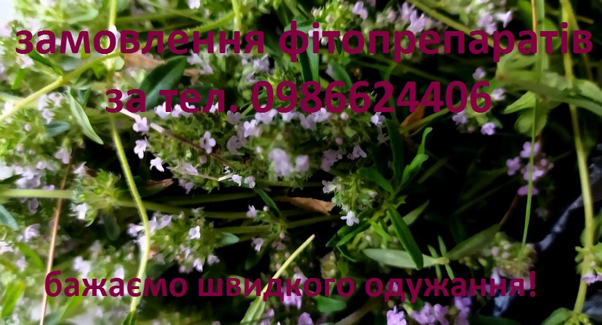 «Від нього пахне чебрецем» – це такий грецький комплімент, означає, що людина шляхетна, вишукана, аристократична. «Чебрець» перекладається з грецької мови як «подих життя».