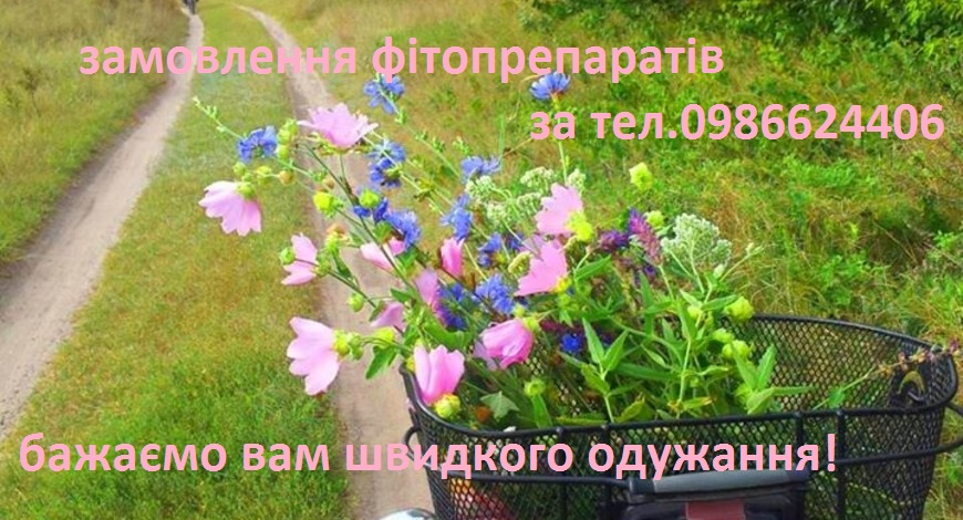 Медичний календар підказав, що 12 жовтня - Всесвітній день боротьби з артритом і Всесвітній тиждень кісток і суглобів. Ви можете колоти знеболювальні, можете піддаватися на вирок "змиріться, воно не лікується", можете лежати, стогнати...