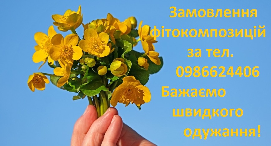 У березні відзначається Всесвітній день енергії рослин. Як же без нас  у такий день?! )))))))))))))))