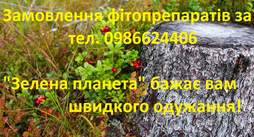 Та, яку вогонь не бере!  Одна рослинка, а скільки користі від неї. 