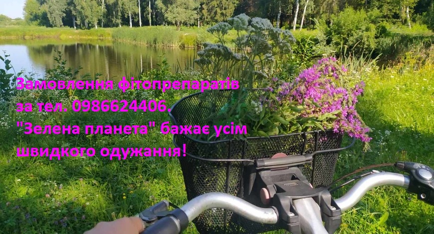 "На всяку хворість у Природі зілля росте!"--так у народі кажуть... І у нашій "Зеленій планеті" є чим вам зарадити, аби ви самі того хотіли.