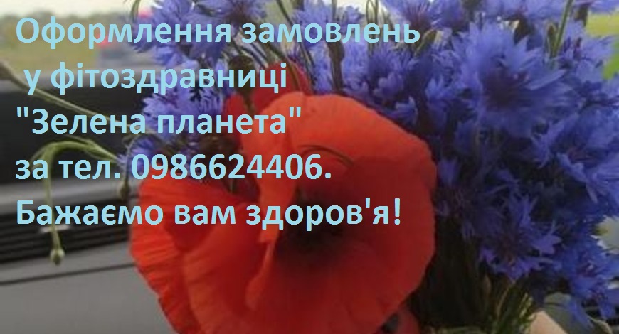 Волошки- блакитні корони квітів. Небесно-синій медонос вважається бур’яном. Але ж який гарний та цілющий цей бур’ян! Разом з Наталею Петрівною збираємо  ці квіти для вас!..