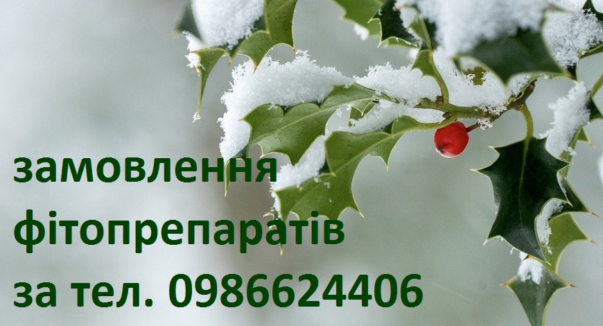 Якщо після святкових застіль вже не виходить втягнути живота... Якщо після зловживань смаколиками роздуло пузо, що треба ґудзики розстібати на штанцях... Якщо у тілі дискомфорт страшенний від переїдань......