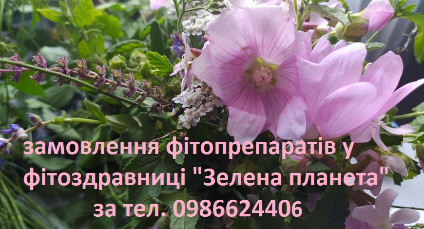 З насолодою збираю, сушу і використовую в чай квіти і трави. З такою ж насолодою описую їх у своїх статтях. От воістину, фіточаї--чари... 