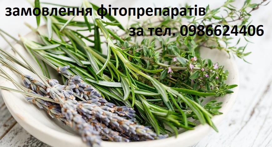 Сьогодні—Всесвітній день боротьби з раком. Вже давно треба бити тривогу! За останні 100 років смерть від раку перемістилася з десятого місця на друге, поступаючись лише хворобам серцево-судинної системи. 