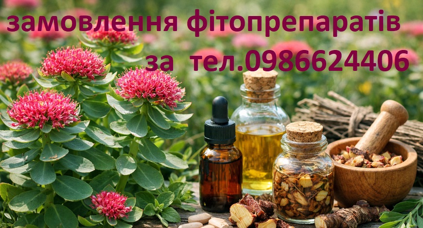 РОДІОЛА РОЖЕВА В НАРОДІ НАЗИВАЄТЬСЯ СКАНДИНАВСЬКИМ ЖЕНЬШЕНЕМ, ЗОЛОТИМ КОРЕНЕМ...