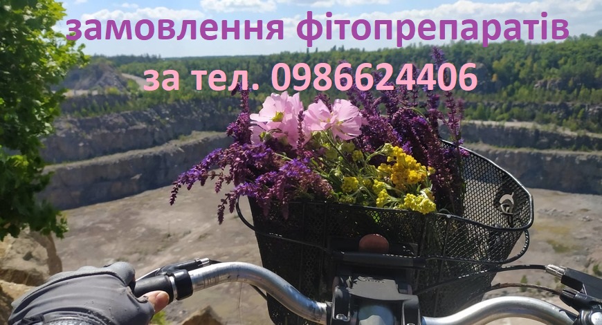 Люблю аромат шавлії і збираю її багато... Латинська назва шавлії Salvia перекладається як «сприяє здоров'ю», «добре себе почувати», «бути здоровим». 
