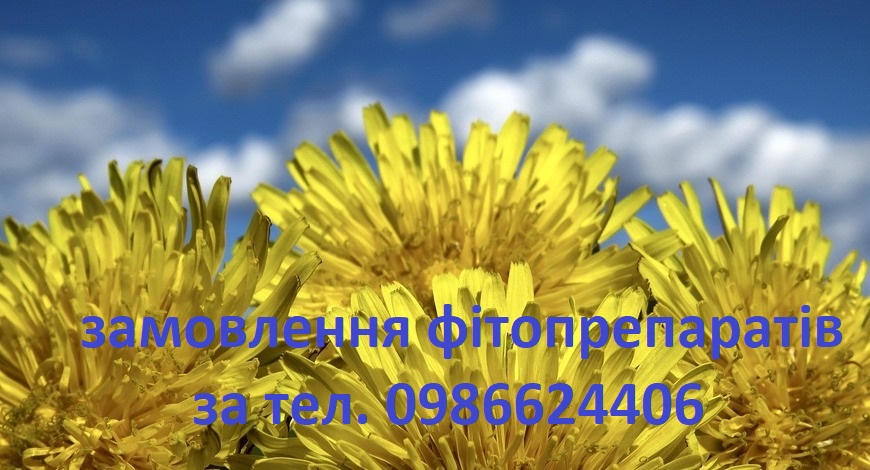 ЗАКУЛЬБАБИЛАСЯ ВЕСНА!.. ЦЯ КВІТКА ЗАВЖДИ НА ЧІЛЬНОМУ МІСЦІ У ТРАВНИКІВ.