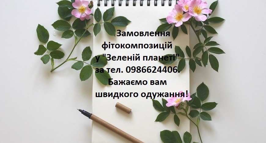 Якщо хочете допомогти дітям, подбайте про себе. Подбайте вже зараз!