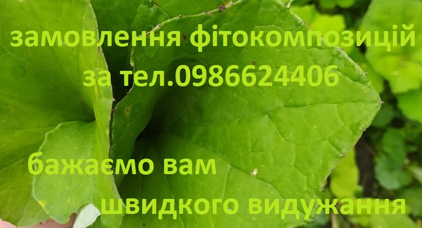 Приходьте до нас по мати-й-мачуху! Ось назбирала собі такий оксамитовий букетик з листя... 