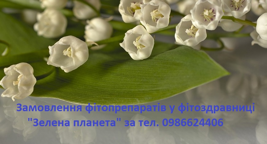 Конвалія, кукуричка, ландиш, маївка...  У перекладі з латини назва квітки означає “лілія долин”. 