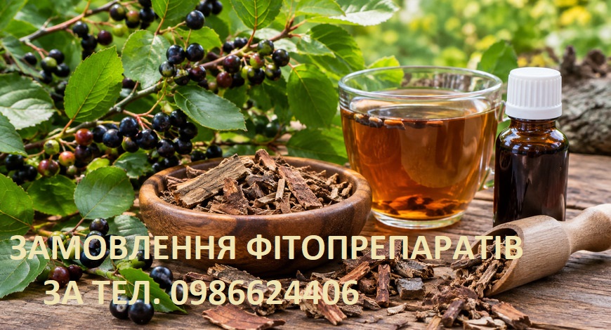 ОТРУЙНА І ЦІЛЮЩА--КРУШИНА