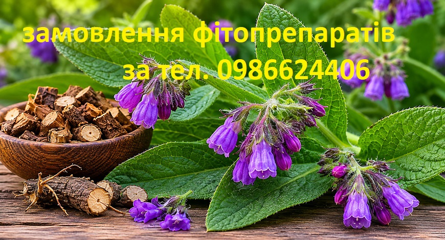ЕЛІТНА ЦІЛЮЩА РОСЛИНА--ЖИВОКІСТ