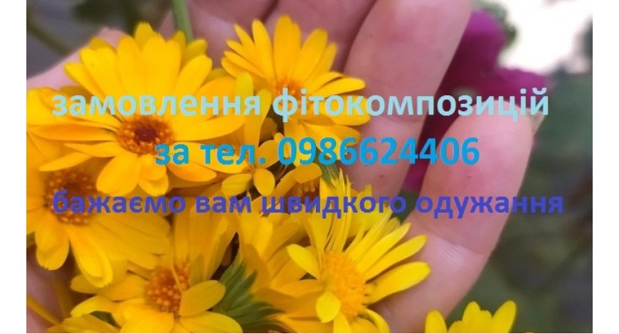 Сійте, збирайте ці помаранчеві квіточки, вони точно стануть у пригоді! Латинська назва нагідок calendae — перекладається, як щось, що здавалося б триває вічно, напевно за довгий період цвітіння. Довго цвіте і дає вам можливість заготовити її на зимові чай