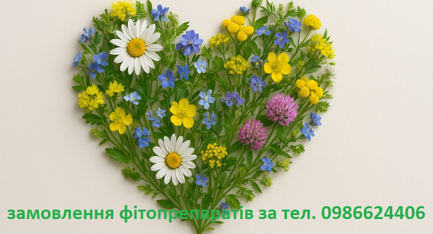 "БЕЗ ЯДРА ГОРІХ НІЩО, ТАК  САМО, ЯК І ЛЮДИНА БЕЗ СЕРЦЯ"-ГРИГОРІЙ СКОВОРОДА...